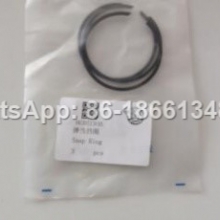 ZF 4WG200 RING 0630513016H